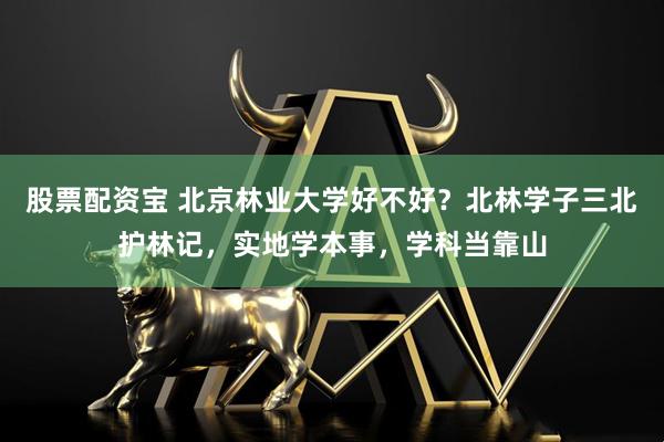 股票配资宝 北京林业大学好不好？北林学子三北护林记，实地学本事，学科当靠山
