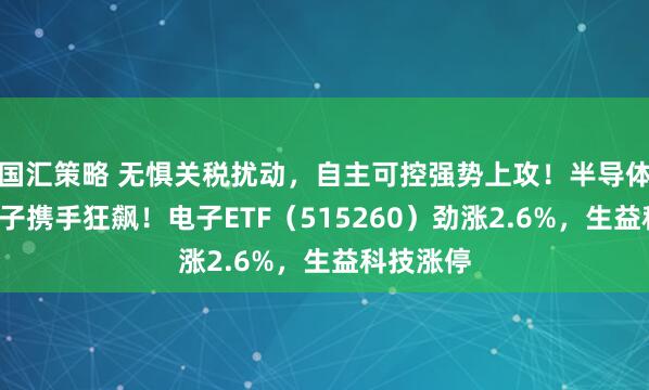 国汇策略 无惧关税扰动，自主可控强势上攻！半导体+消费电子携手狂飙！电子ETF（515260）劲涨2.6%，生益科技涨停